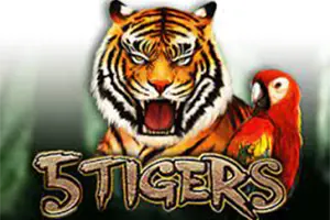 5 Tigers